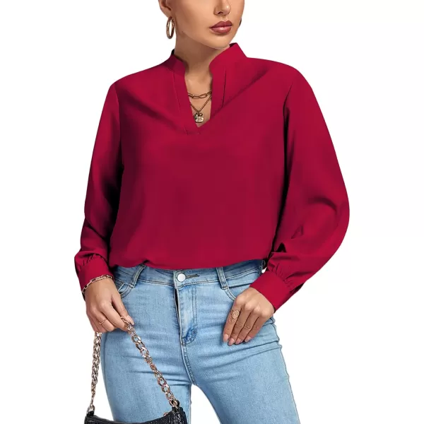 LYANER Women's V Neck Shirred Long Sleeve Office Elegant Tunic Blouse Top