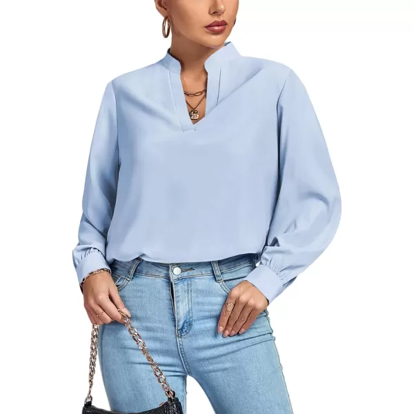 LYANER Women's V Neck Shirred Long Sleeve Office Elegant Tunic Blouse Top