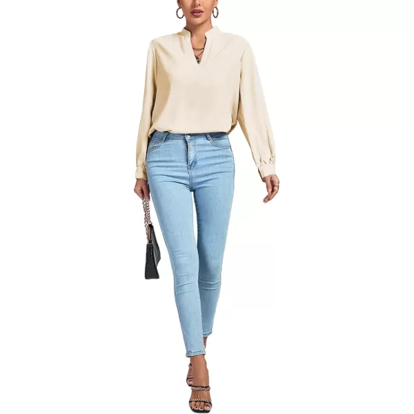 LYANER Women's V Neck Shirred Long Sleeve Office Elegant Tunic Blouse Top