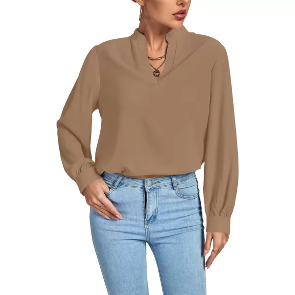LYANER Women's V Neck Shirred Long Sleeve Office Elegant Tunic Blouse Top