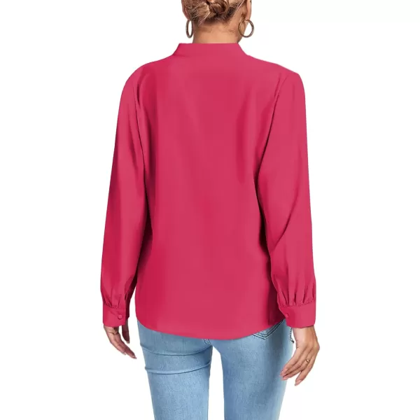 LYANER Women's V Neck Shirred Long Sleeve Office Elegant Tunic Blouse Top