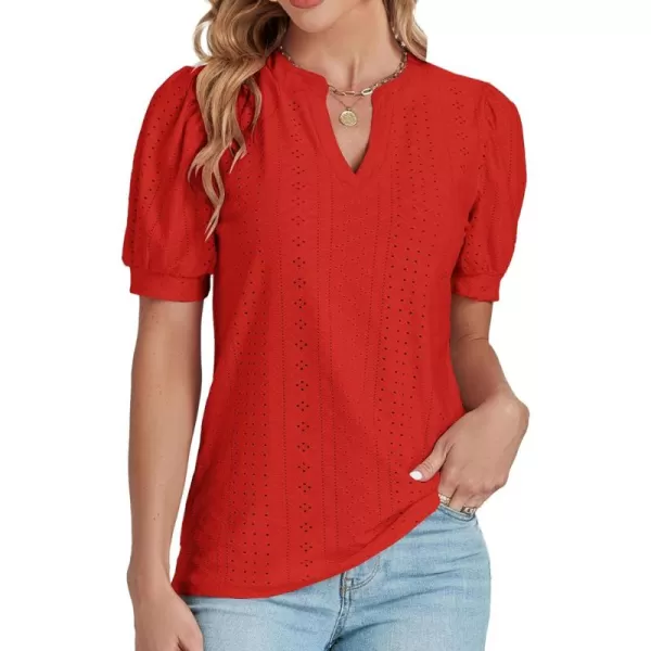 LYANER Women's Casual Eyelet V Neck Puff Short Sleeve Shirt Blouse Tunic Top