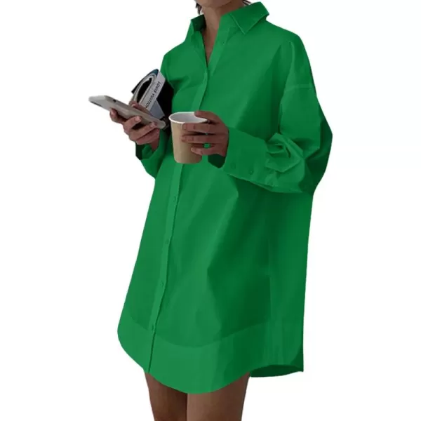 LYANER Women's Casual Shirt Dress Collar V Neck Button Down Loose Long Sleeve Mini Dresses