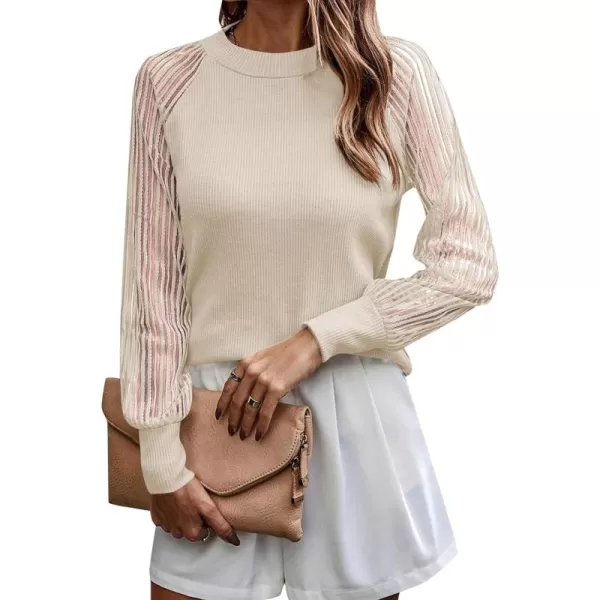 LYANER Women's Crewneck Mesh Lace Long Sleeve Knit Ribbed Top Blouse Sweater