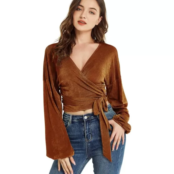 LYANER Women's V Neck Self Tie Knot Bishop Long Sleeve Wrap Crop Blouse T-Shirt Top