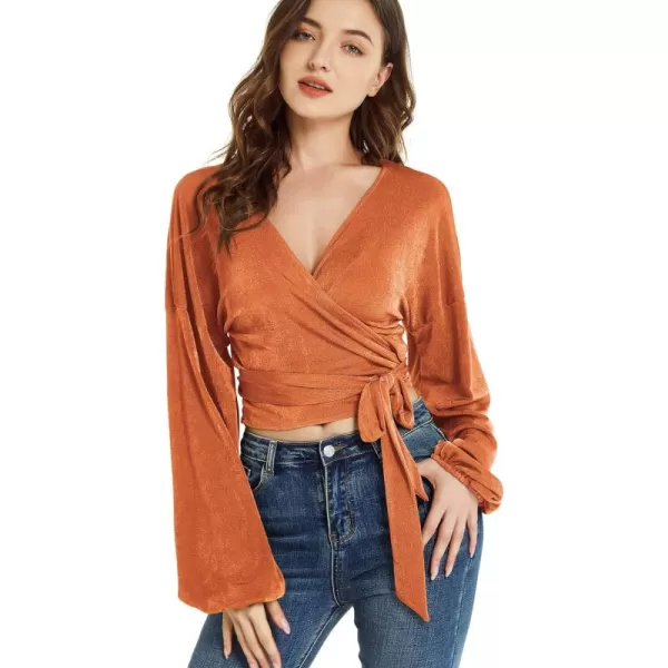 LYANER Women's V Neck Self Tie Knot Bishop Long Sleeve Wrap Crop Blouse T-Shirt Top