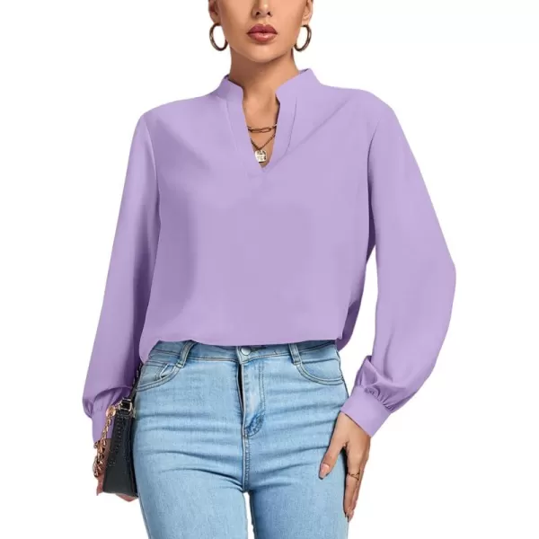 LYANER Women's V Neck Shirred Long Sleeve Office Elegant Tunic Blouse Top