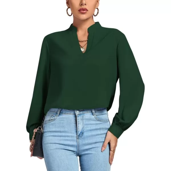 LYANER Women's V Neck Shirred Long Sleeve Office Elegant Tunic Blouse Top