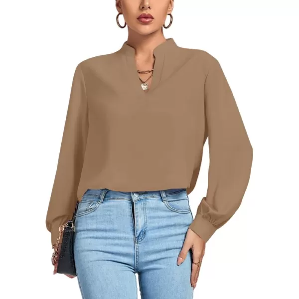 LYANER Women's V Neck Shirred Long Sleeve Office Elegant Tunic Blouse Top