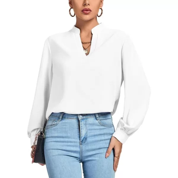 LYANER Women's V Neck Shirred Long Sleeve Office Elegant Tunic Blouse Top