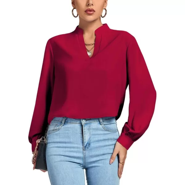 LYANER Women's V Neck Shirred Long Sleeve Office Elegant Tunic Blouse Top
