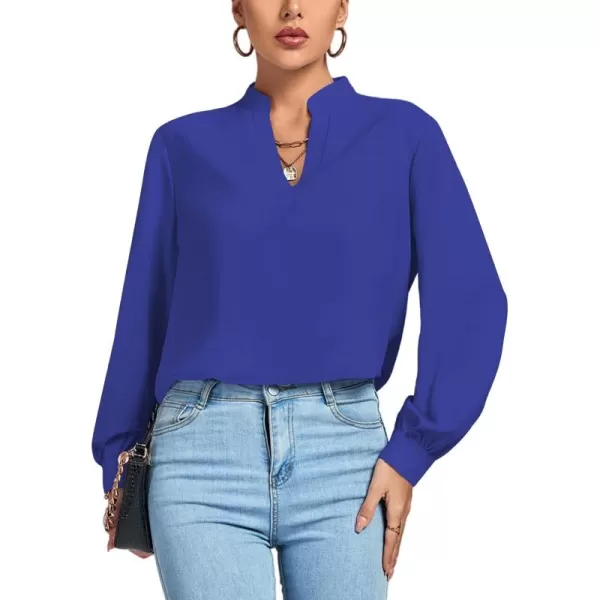 LYANER Women's V Neck Shirred Long Sleeve Office Elegant Tunic Blouse Top