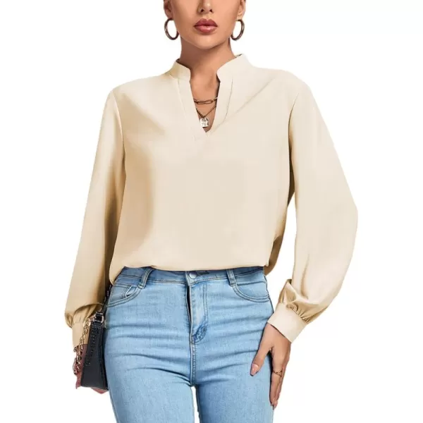 LYANER Women's V Neck Shirred Long Sleeve Office Elegant Tunic Blouse Top