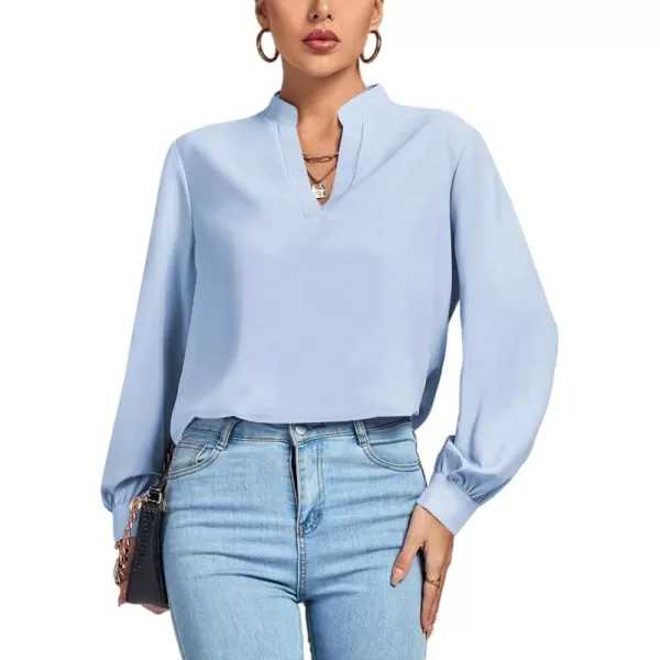 LYANER Women's V Neck Shirred Long Sleeve Office Elegant Tunic Blouse Top