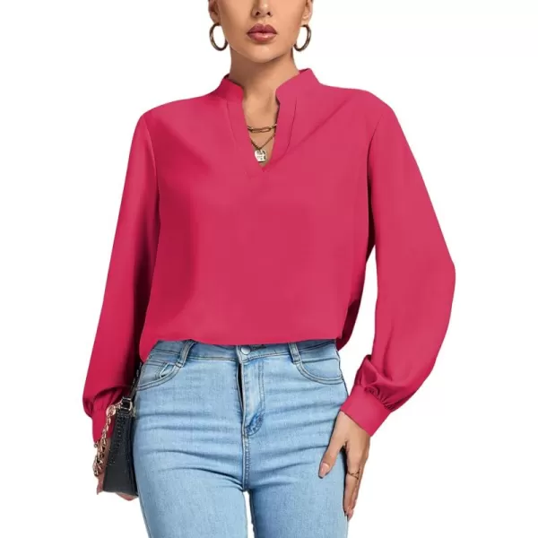 LYANER Women's V Neck Shirred Long Sleeve Office Elegant Tunic Blouse Top