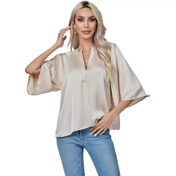 LYANER Women's Satin Elegant Casual V Neck 3/4 Sleeve Solid Blouse Top Shirt