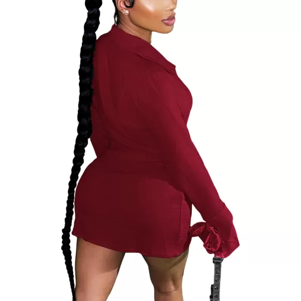 LYANER Women's Sexy Collar V Neck Wrap Hem Long Sleeve Club Party Bodycon Mini Dress
