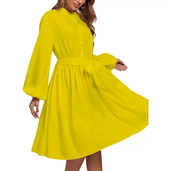 LYANER Women's Causal Crewneck Tie Waist Lantern Long Sleeve Ruffle A Line Flare Midi Dress