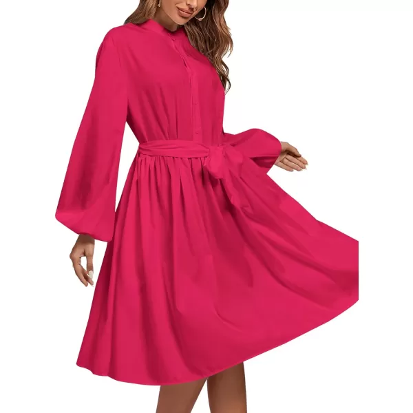 LYANER Women's Causal Crewneck Tie Waist Lantern Long Sleeve Ruffle A Line Flare Midi Dress