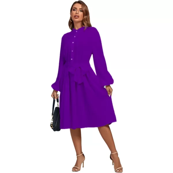 LYANER Women's Causal Crewneck Tie Waist Lantern Long Sleeve Ruffle A Line Flare Midi Dress