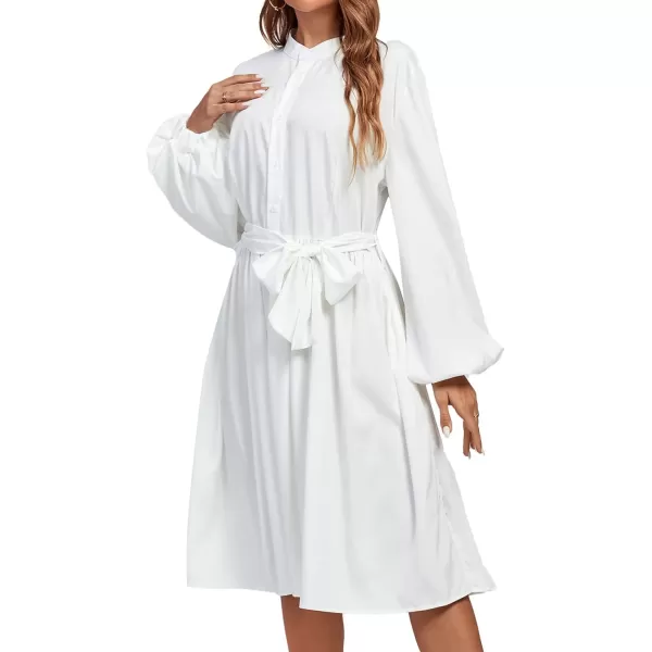 LYANER Women's Causal Crewneck Tie Waist Lantern Long Sleeve Ruffle A Line Flare Midi Dress