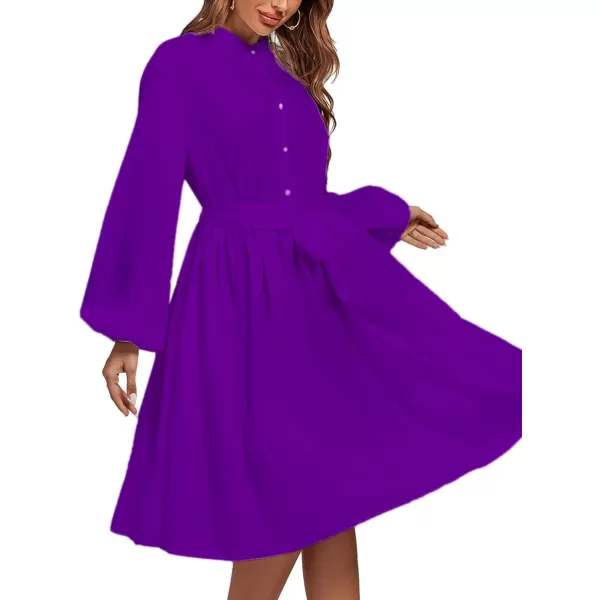 LYANER Women's Causal Crewneck Tie Waist Lantern Long Sleeve Ruffle A Line Flare Midi Dress