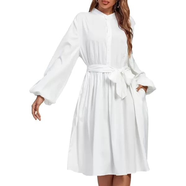 LYANER Women's Causal Crewneck Tie Waist Lantern Long Sleeve Ruffle A Line Flare Midi Dress