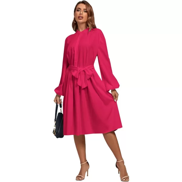 LYANER Women's Causal Crewneck Tie Waist Lantern Long Sleeve Ruffle A Line Flare Midi Dress