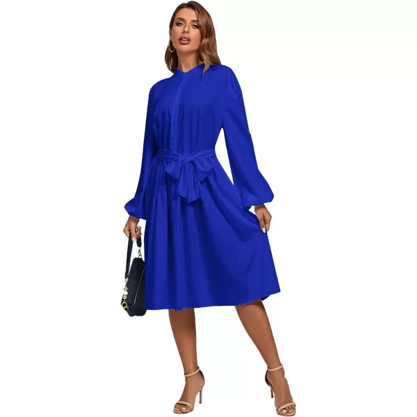 LYANER Women's Causal Crewneck Tie Waist Lantern Long Sleeve Ruffle A Line Flare Midi Dress