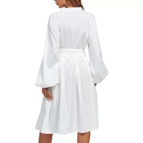 LYANER Women's Causal Crewneck Tie Waist Lantern Long Sleeve Ruffle A Line Flare Midi Dress