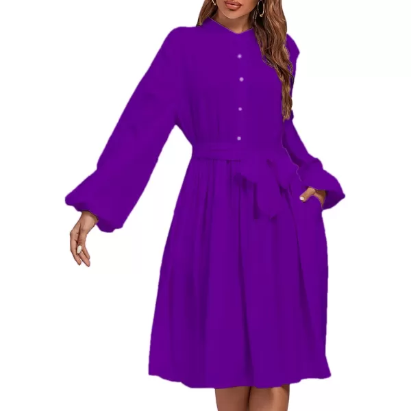 LYANER Women's Causal Crewneck Tie Waist Lantern Long Sleeve Ruffle A Line Flare Midi Dress