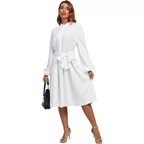 LYANER Women's Causal Crewneck Tie Waist Lantern Long Sleeve Ruffle A Line Flare Midi Dress