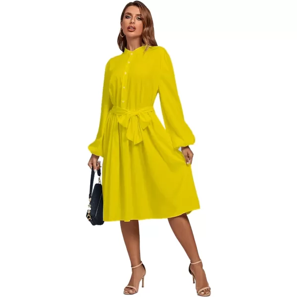 LYANER Women's Causal Crewneck Tie Waist Lantern Long Sleeve Ruffle A Line Flare Midi Dress