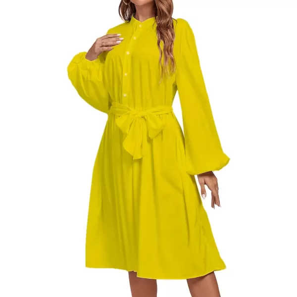 LYANER Women's Causal Crewneck Tie Waist Lantern Long Sleeve Ruffle A Line Flare Midi Dress
