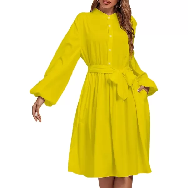 LYANER Women's Causal Crewneck Tie Waist Lantern Long Sleeve Ruffle A Line Flare Midi Dress