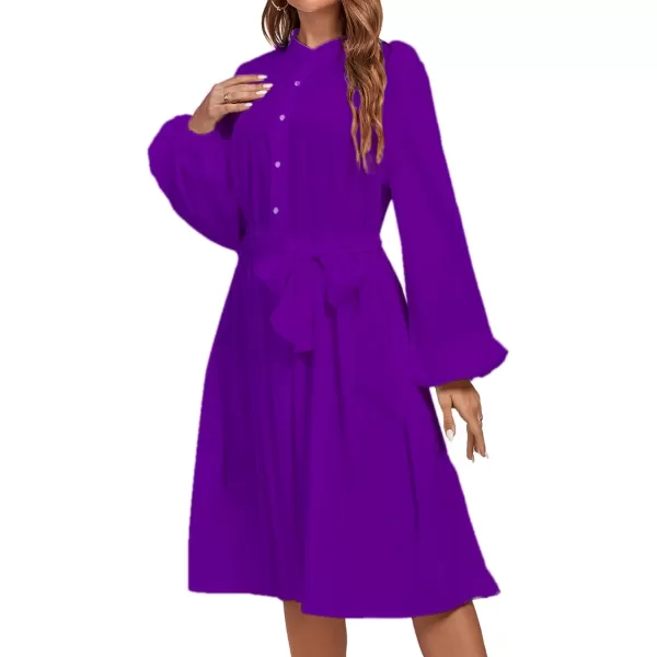 LYANER Women's Causal Crewneck Tie Waist Lantern Long Sleeve Ruffle A Line Flare Midi Dress