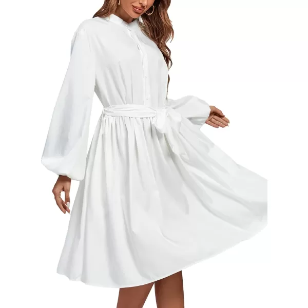 LYANER Women's Causal Crewneck Tie Waist Lantern Long Sleeve Ruffle A Line Flare Midi Dress