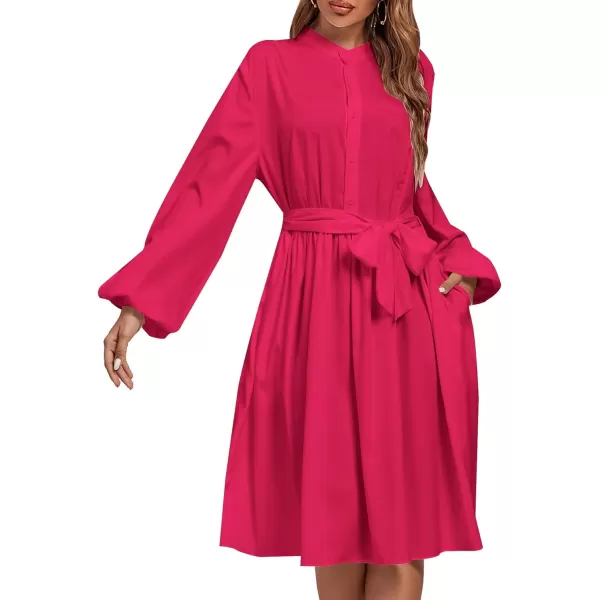 LYANER Women's Causal Crewneck Tie Waist Lantern Long Sleeve Ruffle A Line Flare Midi Dress