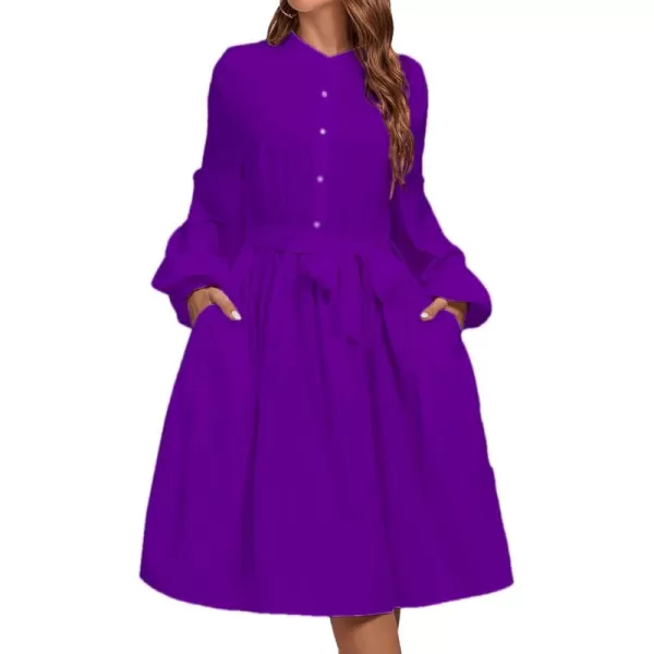 LYANER Women's Causal Crewneck Tie Waist Lantern Long Sleeve Ruffle A Line Flare Midi Dress