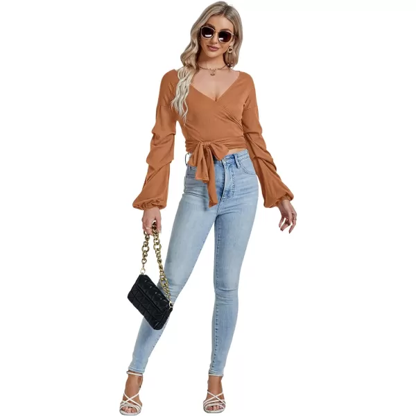 LYANER Women's V Neck Puff Long Sleeve Self Tie Knot Solid Wrap Crop Blouse T-Shirt Top