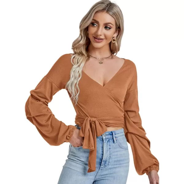 LYANER Women's V Neck Puff Long Sleeve Self Tie Knot Solid Wrap Crop Blouse T-Shirt Top