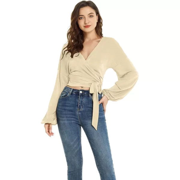 LYANER Women's V Neck Self Tie Knot Bishop Long Sleeve Wrap Crop Blouse T-Shirt Top