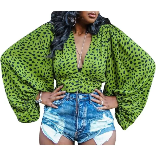 LYANER Women's Leopard Print V Neck Button Batwing Long Sleeve Blouse Shirt Top