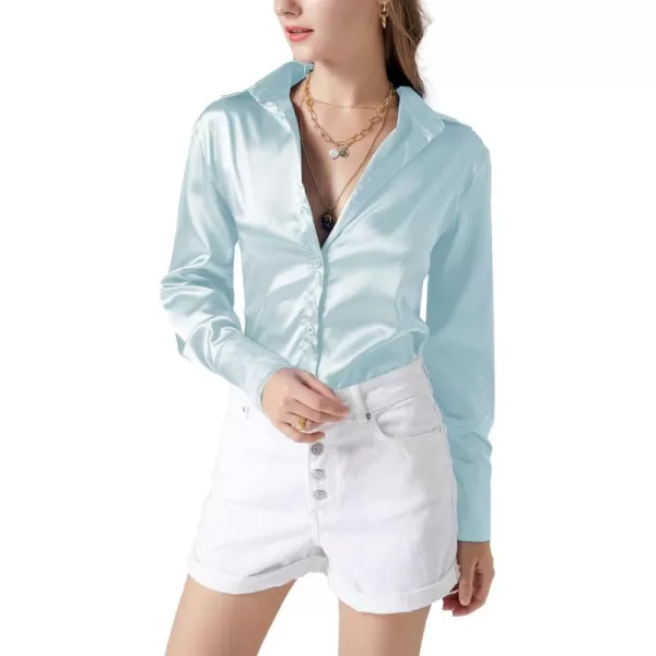 LYANER Women's Satin Silky Collar Buttons Down Long Sleeve Work Blouse Shirt Top