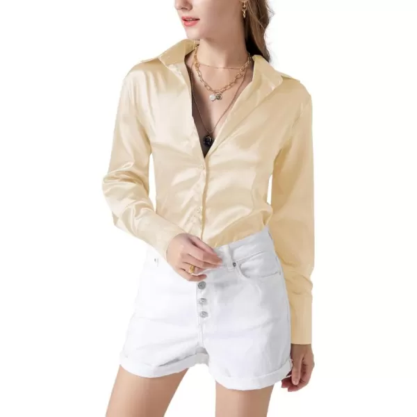 LYANER Women's Satin Silky Collar Buttons Down Long Sleeve Work Blouse Shirt Top