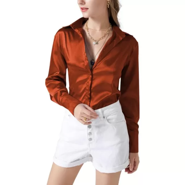 LYANER Women's Satin Silky Collar Buttons Down Long Sleeve Work Blouse Shirt Top
