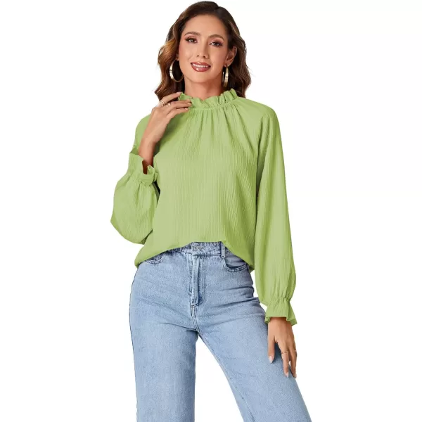 LYANER Women's Frill Mock Neck Pleated Lantern Long Sleeve Blouse Office Shirt Tops