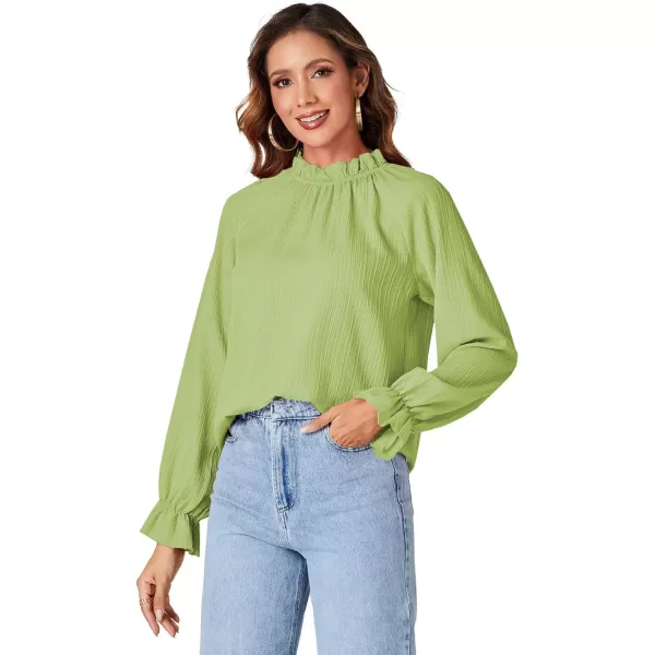 LYANER Women's Frill Mock Neck Pleated Lantern Long Sleeve Blouse Office Shirt Tops