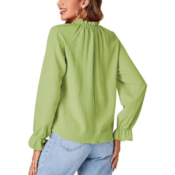 LYANER Women's Frill Mock Neck Pleated Lantern Long Sleeve Blouse Office Shirt Tops