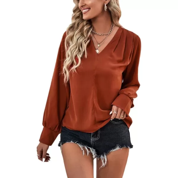 LYANER Women's Casual Plain V Neck Puff Long Sleeve Work Blouse Shirt Pullover Top